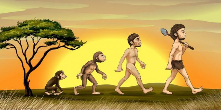 La verdadera raz??n por la que los humanos somos la especie dominante