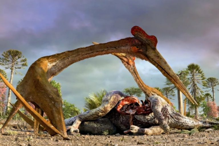 Descubren c??mo volaba Quetzalcoatlus, el pterosaurio m??s grande del mundo