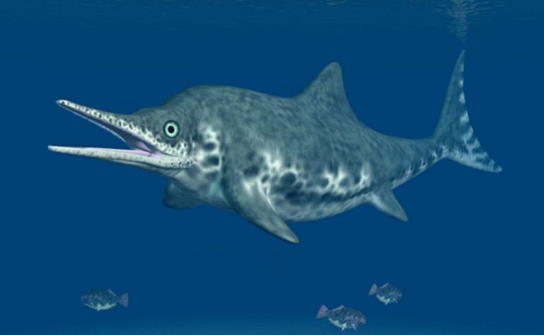 Descubren un f??sil de ictiosaurio de 10 metros de largo en Inglaterra